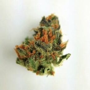 Black Cherry Soda