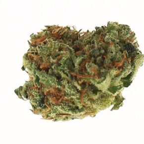 Black Water Kush