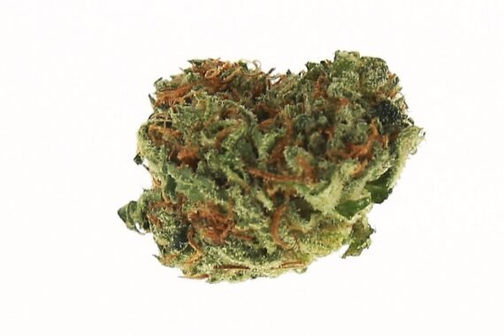 Black Water Kush