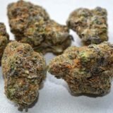 Blue Cookies