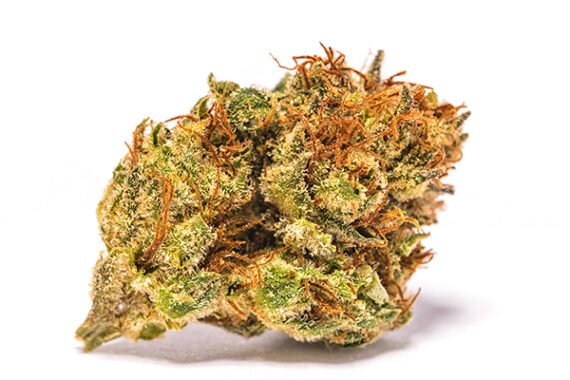 Candy Kush