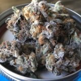 Gorilla Glue #4 - Quarter Pound