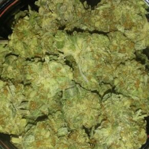 Grape Ape Kush