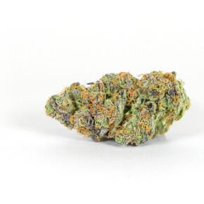 Jilly Bean