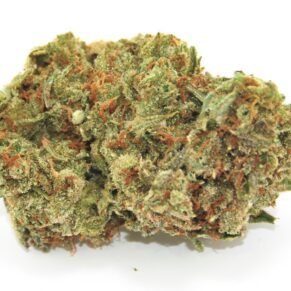 Lemon Skunk