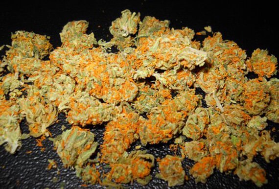 Mango Kush