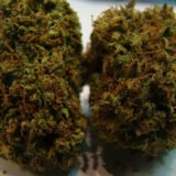 Pineapple Chunk