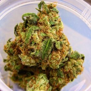 Pineapple Express