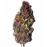 Purple Haze - Quarter Pound