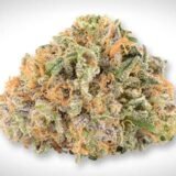 Strawberry Cough