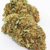 Tangerine Dream