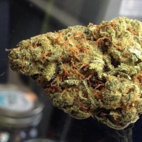 Jack Herer